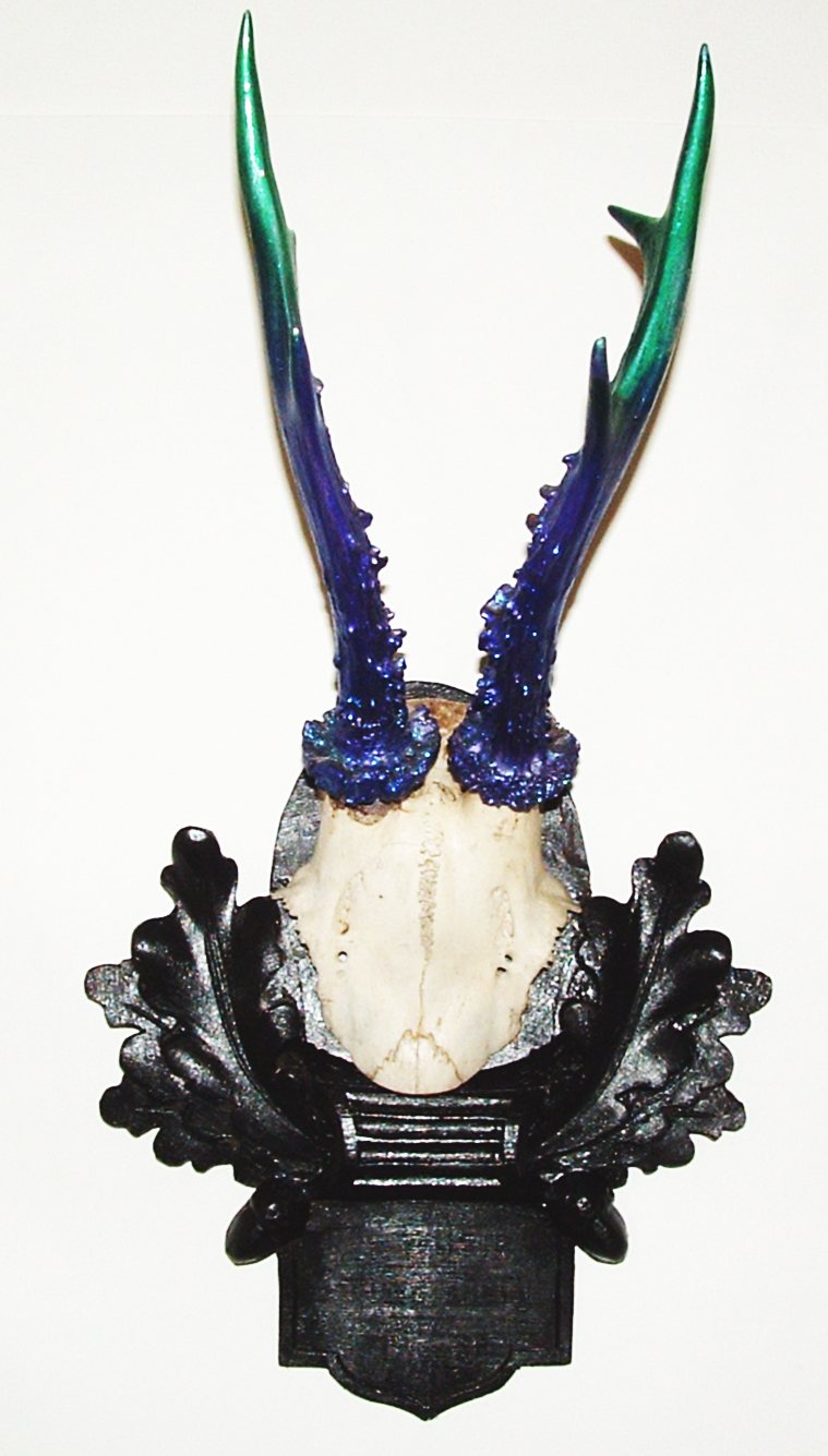 ID No.02