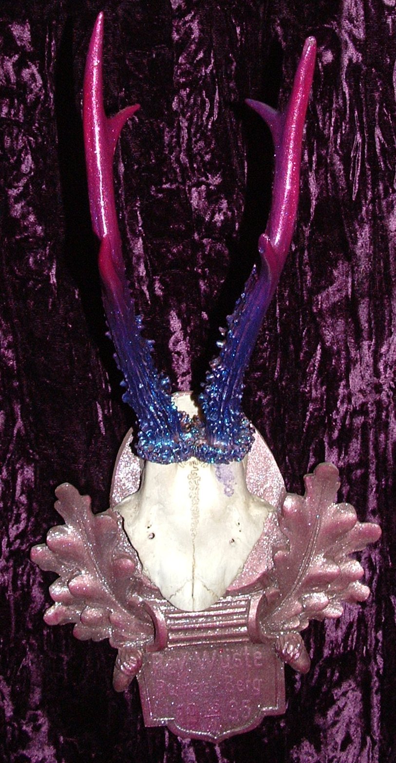 ID No.20
