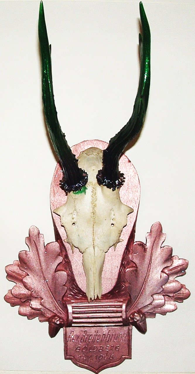 ID No.01